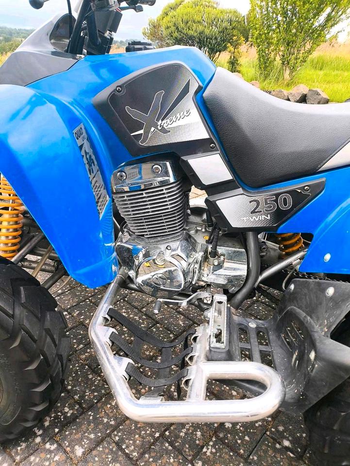 Honda Quad SMC 250 Twin Extreme 2 Zylinder 2006 — photo 6