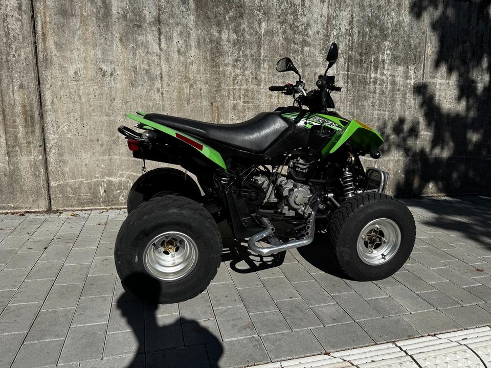  Arctic Cat DVX 250 Quad | nur 3.069 km | Straßenzulassung 2006 — rear view