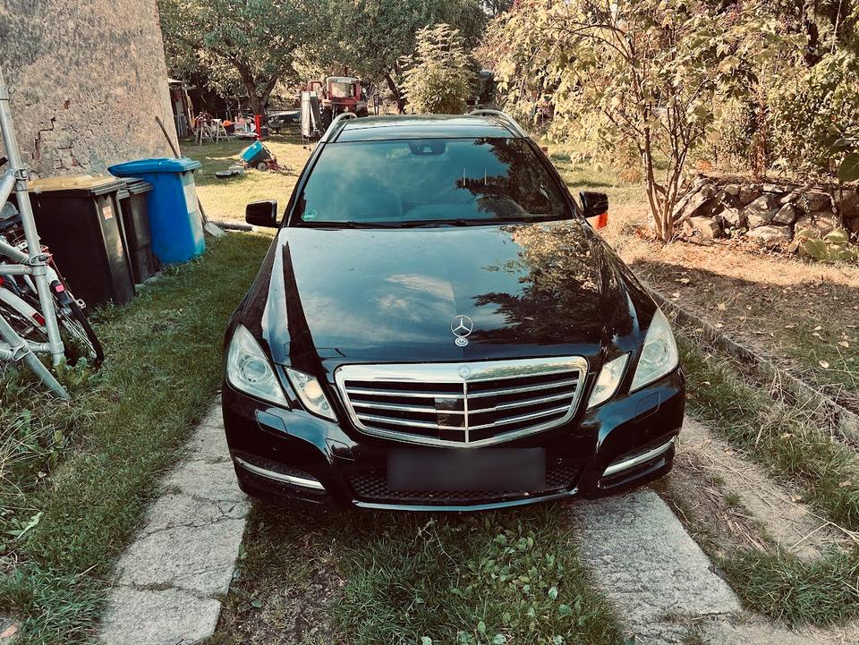 Mercedes Benz E 350 2010 — rear view