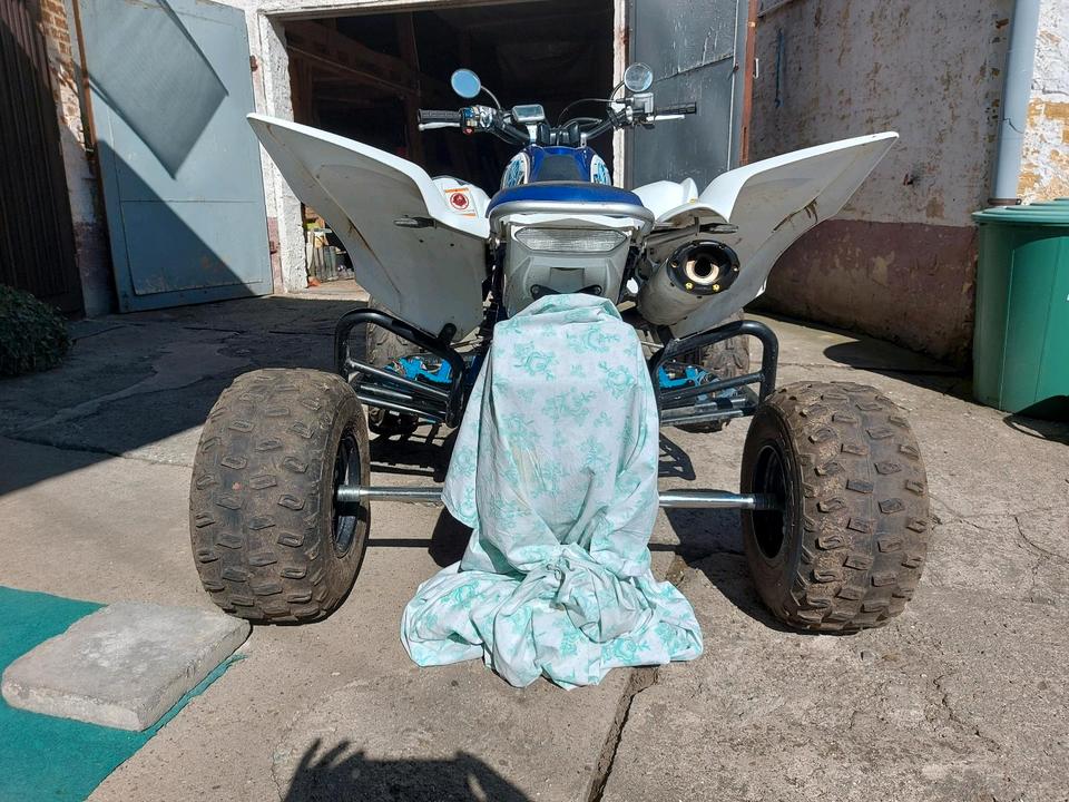 Yamaha Raptor 2011 — rear view