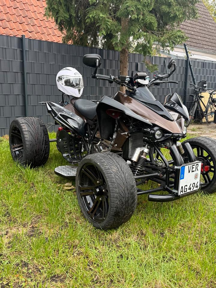  Quad Jinling JLA-21B – Neu aufgebaut mit neuem Motor 2010 — rear view