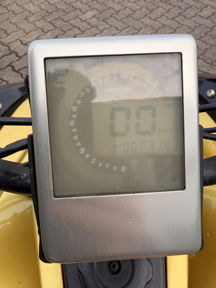 Weitere Motorräder Gelöscht • Quad 250ccm Jingling Streetquad 2014 — photo 13