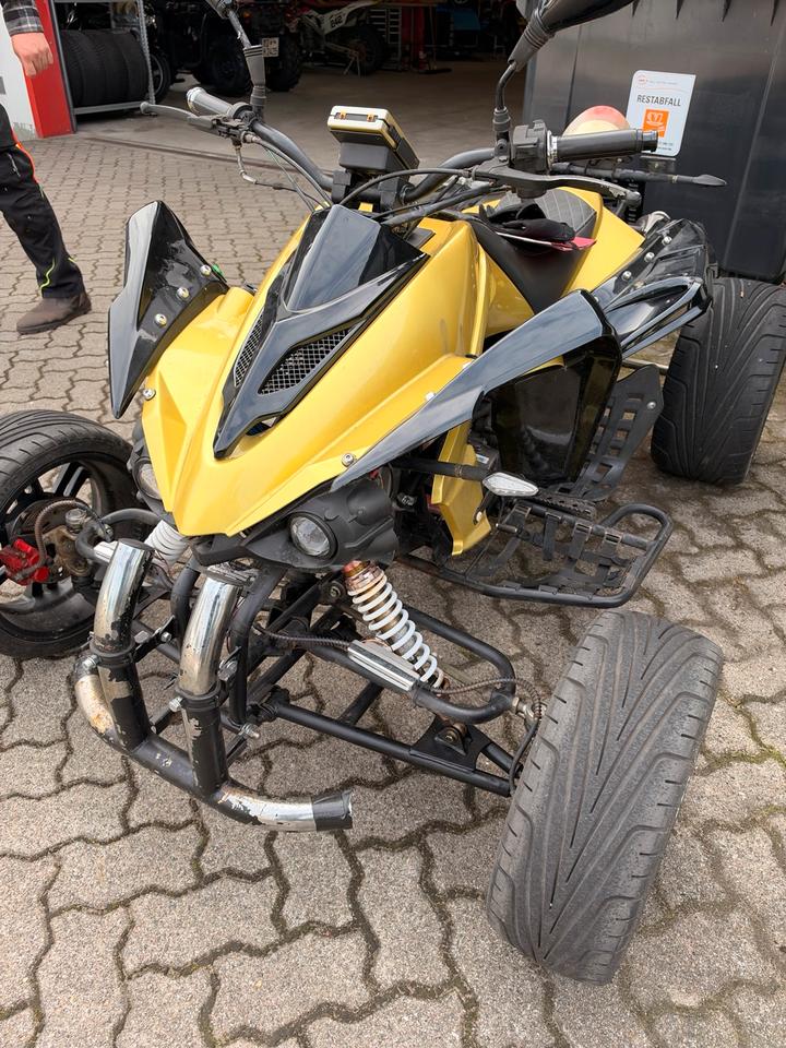 Weitere Motorräder Gelöscht • Quad 250ccm Jingling Streetquad 2014 — rear view