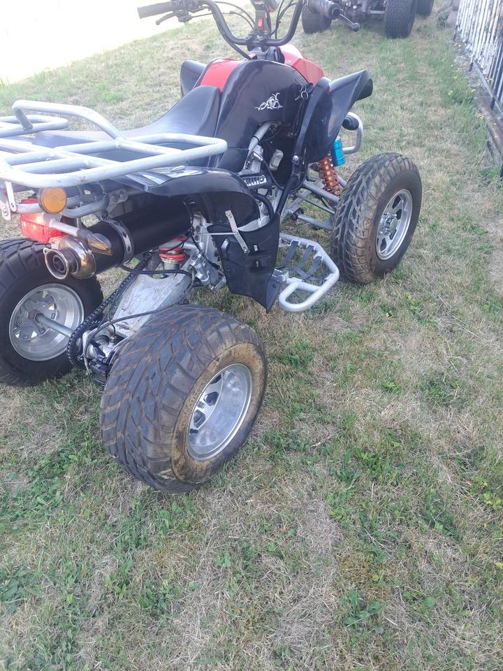  Quad-250ccm 2007 — interior