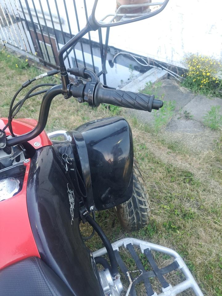  Quad-250ccm 2007 — photo 6