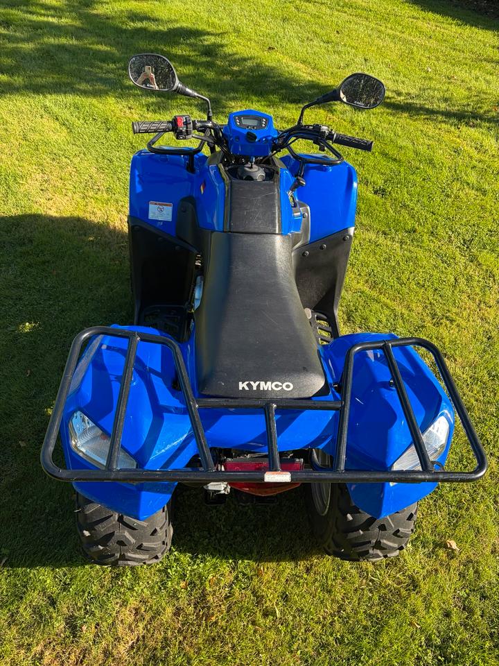 Kymco MXU 150, Quad, 1-A Zustand 2011 — вигляд ззаду