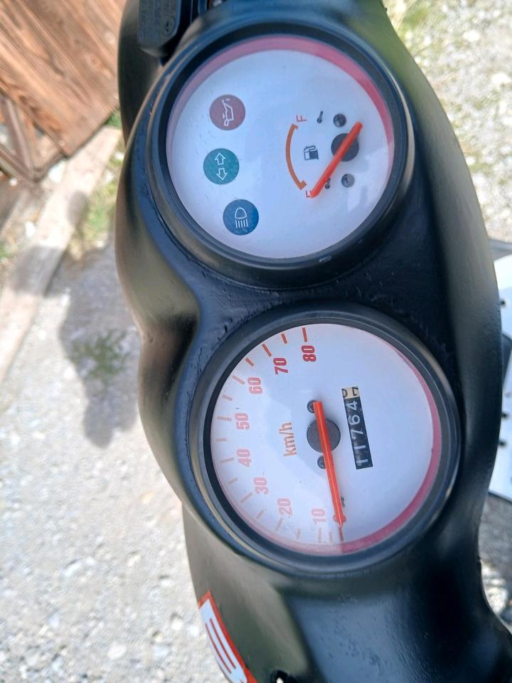Weitere Motorräder pegasus tgb 25ger 2008 — engine 50 ccm