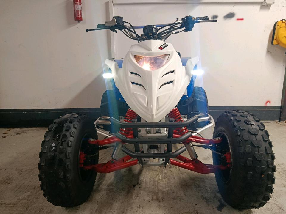  adly interceptor 300ccm 2009 — вигляд ззаду