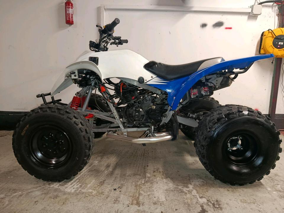  adly interceptor 300ccm 2009 — двигун 300 ccm