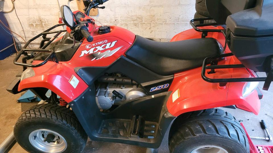Kymco Gelöscht • Kymco MXU 250 Quad | | 4.900 km | AHK | Topcase 2009 — rear view