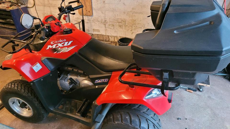 Kymco Gelöscht • Kymco MXU 250 Quad | | 4.900 km | AHK | Topcase 2009 — interior
