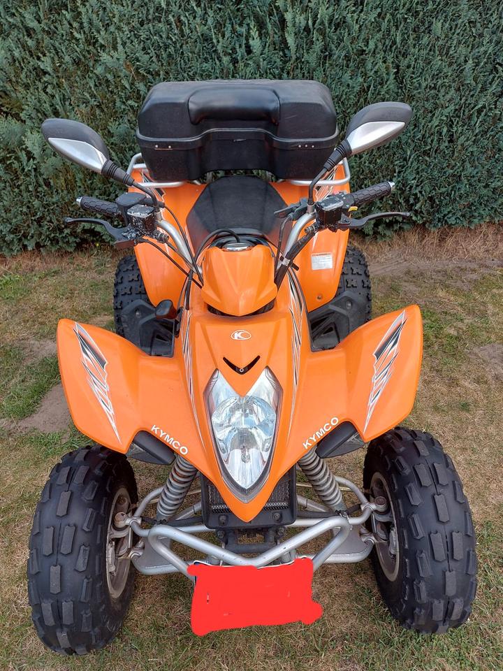 Kymco Quad Kymco Maxxer 300 Wide 2013 — photo 5