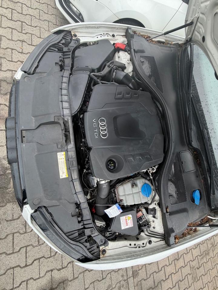 Audi A6 2015 — photo 20