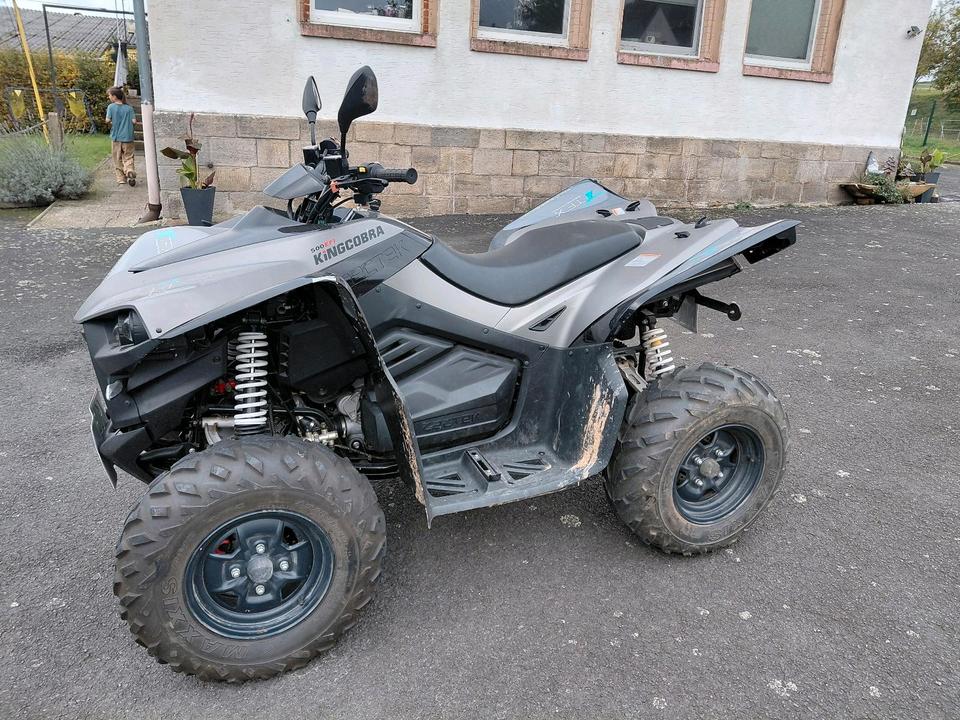 Weitere Motorräder Quad von Cectrek 2010 — interior