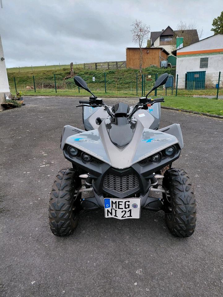Weitere Motorräder Quad von Cectrek 2010 — engine