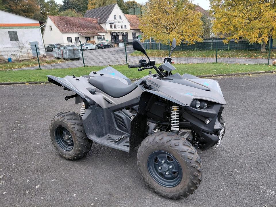 Weitere Motorräder Quad von Cectrek 2010 — photo 5