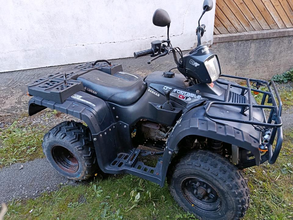 Weitere Motorräder Gelöscht • Bashan Confortable CTV Quad ATV 4x2 2008 — engine 300 ccm