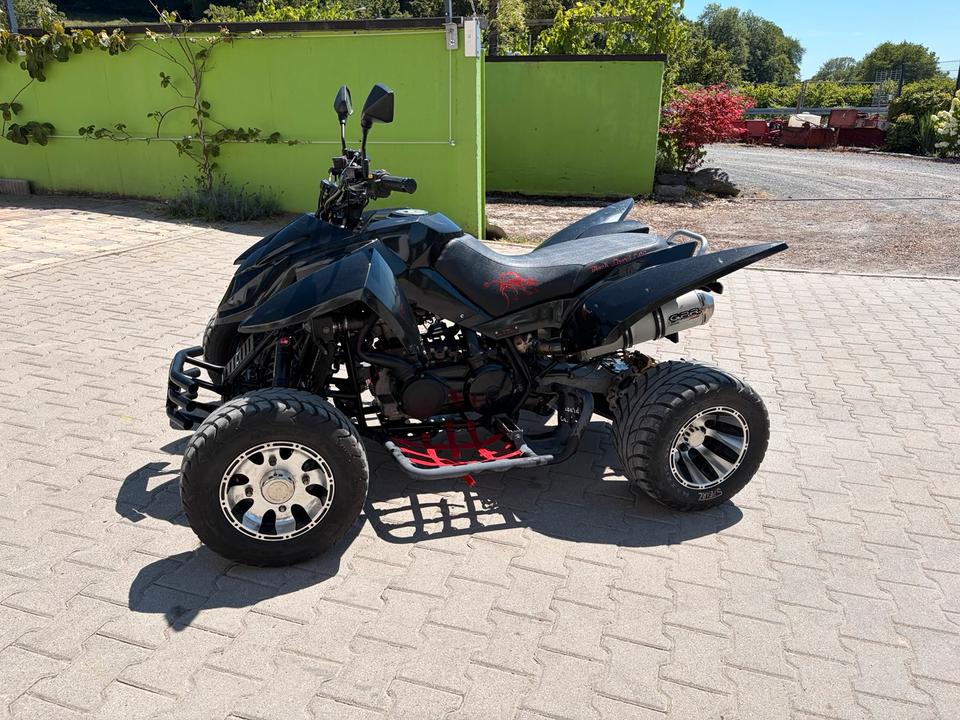  Triton Baja 400 EFI ATV Black Lizard Edition Quad TÜV 06/2028 2012 — photo 5