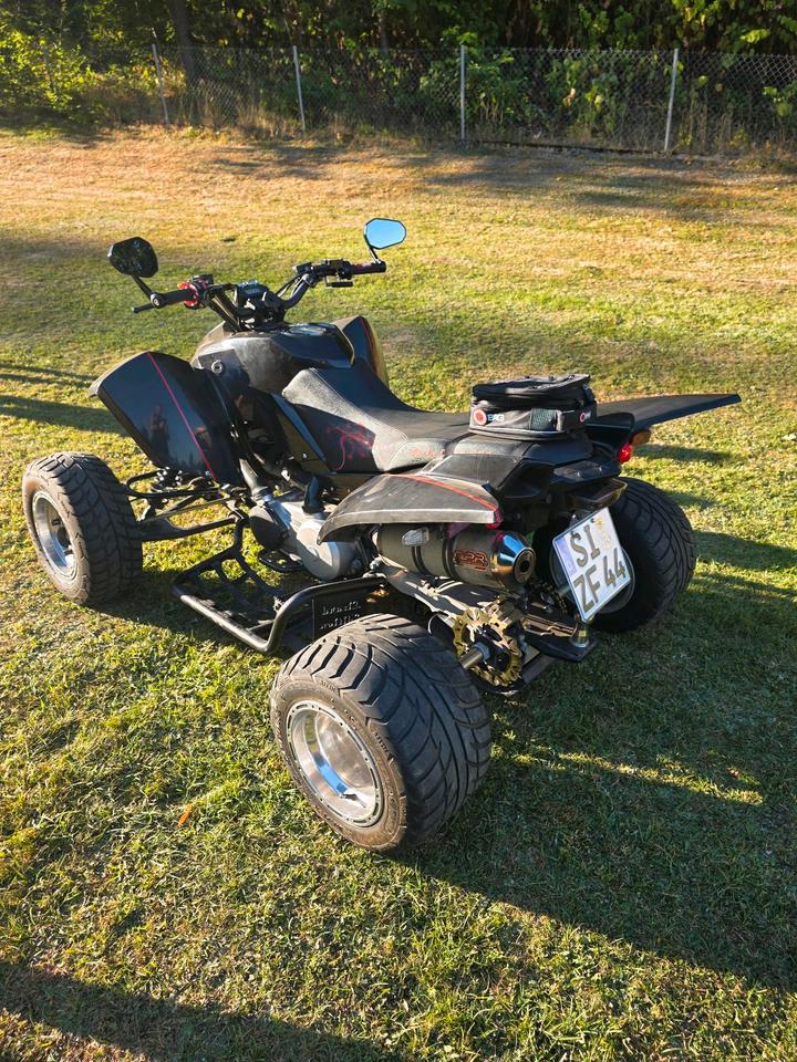  Black Lizard / Triton Supermoto 400 EFI – LOF – 2012 — rear view
