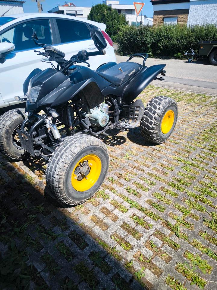 Weitere Motorräder ❗❗❗Super Quad ATV 250ccM ❗❗❗ tausch mögliche auch. 2013 — photo 5