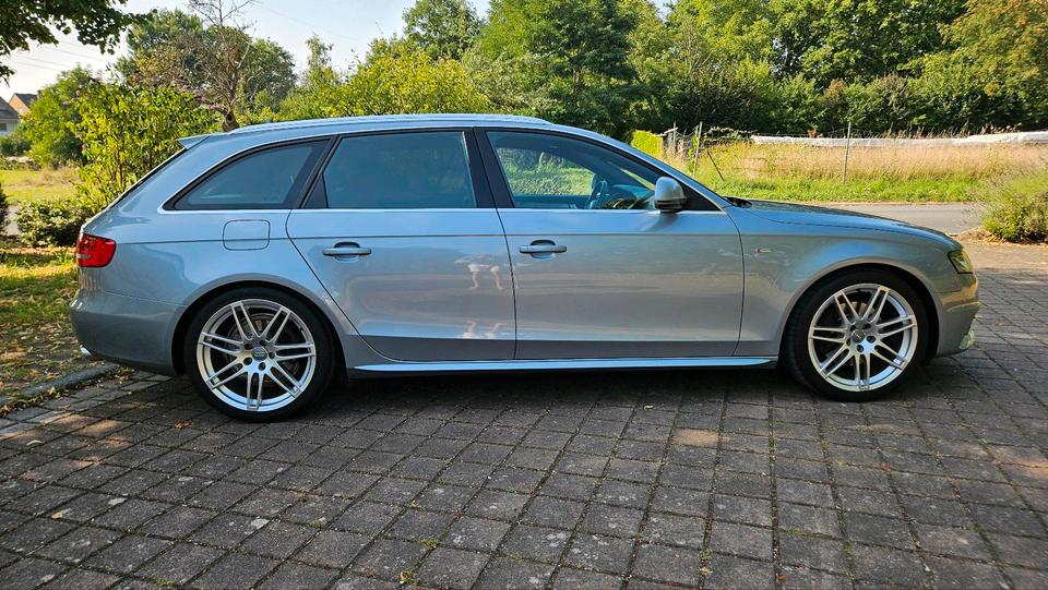 Audi A4 2008 — photo 6