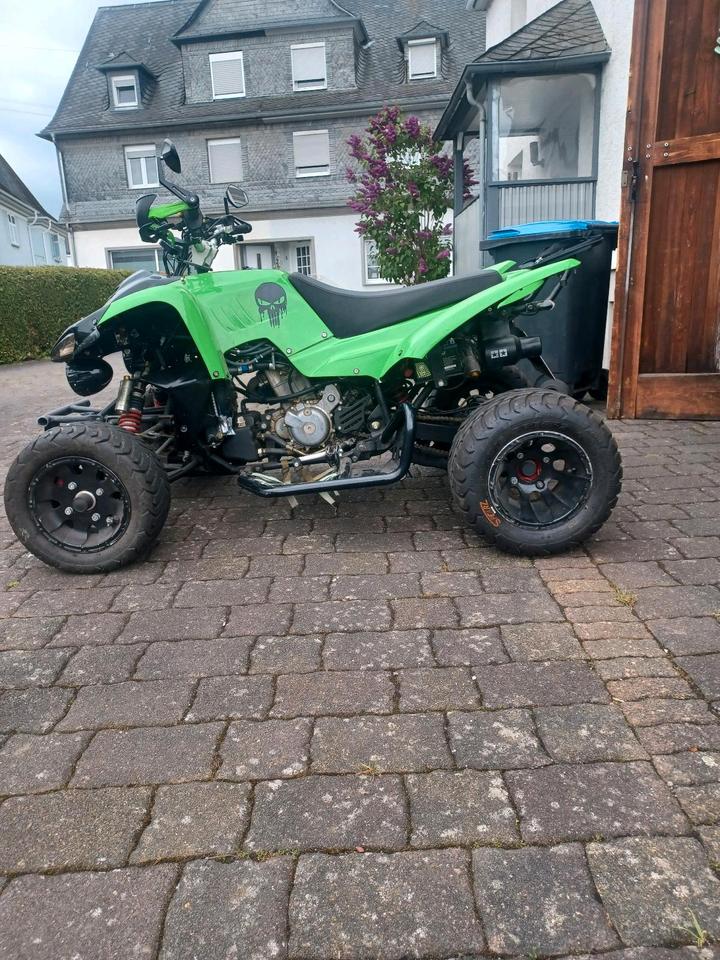 Weitere Motorräder Beeline Bestia 5.5 2012 — engine 500 ccm