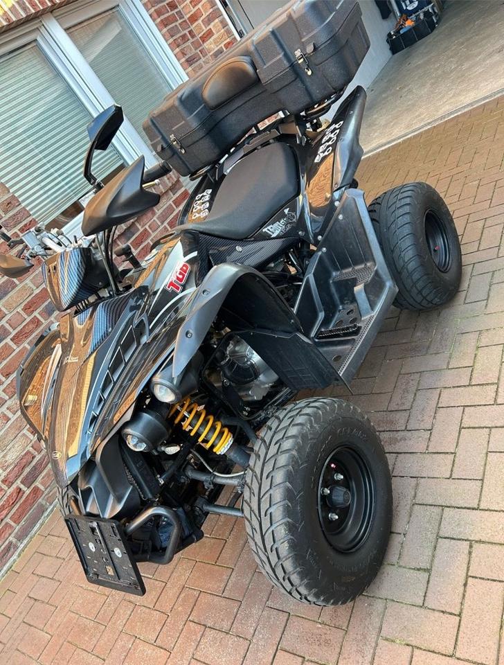 Weitere Motorräder TGB Target 325 2012 — rear view