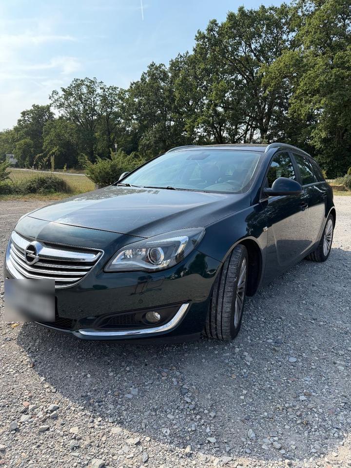Opel Insignia 2014 — rear view