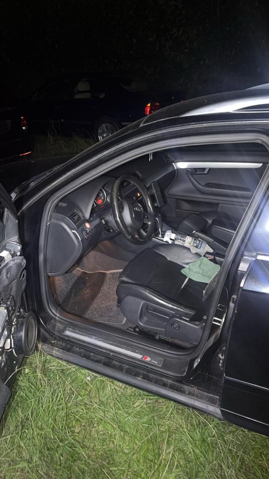 Audi A4 2008 — photo 6