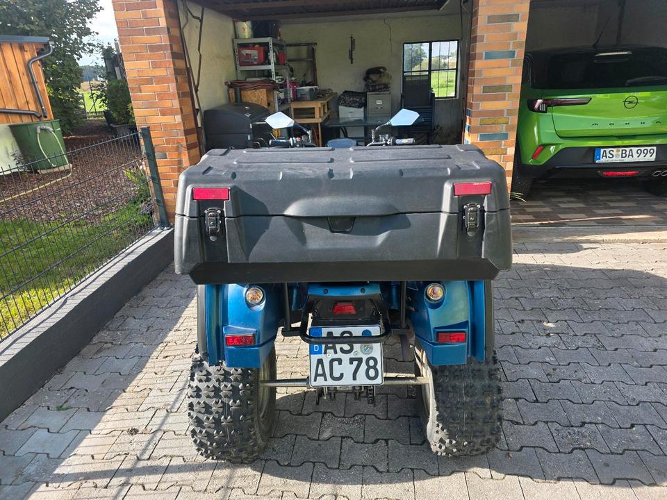 Weitere Motorräder Gelöscht • quad ADLY 280 2007 — engine 280 ccm