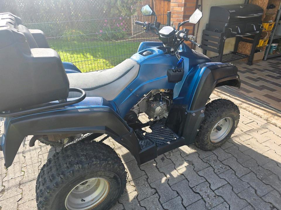 Weitere Motorräder Gelöscht • quad ADLY 280 2007 — photo 5