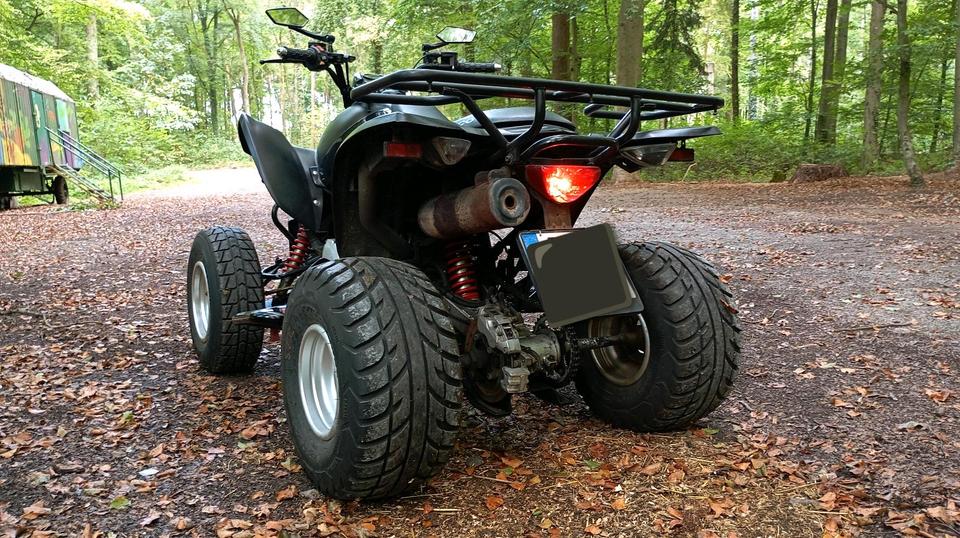 Kymco Maxxer 300 - Quad - Wide - 2011 — rear view