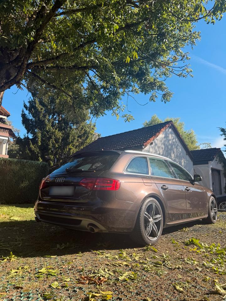 Audi A4 2008 — photo 6