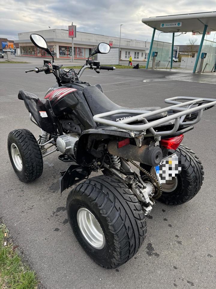 Kymco Maxxer 250 Top Zustand 2011 — вигляд ззаду
