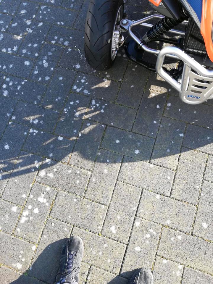 Kymco Quad kemcu Maxxer 300 2007 — photo 9