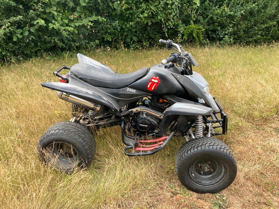Weitere Motorräder Quad Shineray 250 STXE 250 Drehgasgriff 2008 — rear view