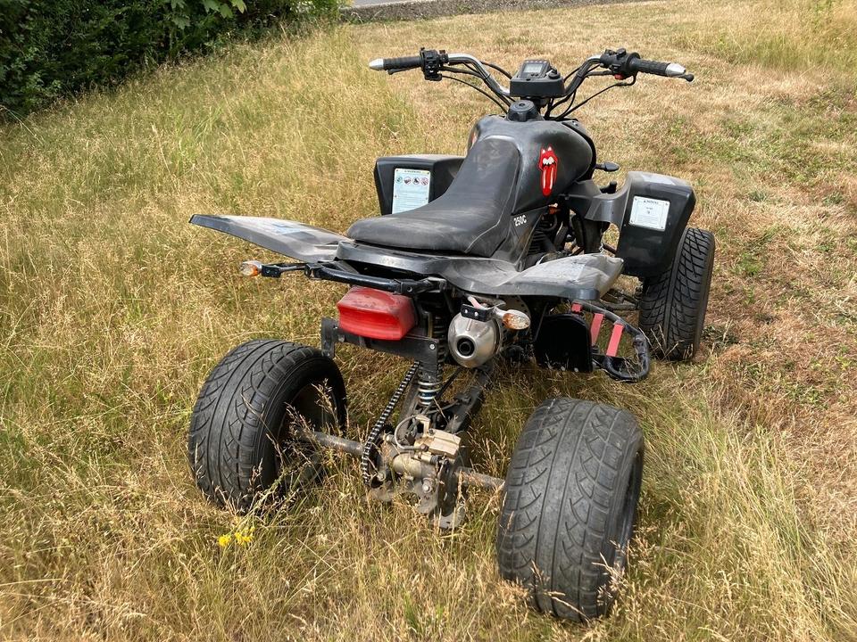 Weitere Motorräder Quad Shineray 250 STXE 250 Drehgasgriff 2008 — interior