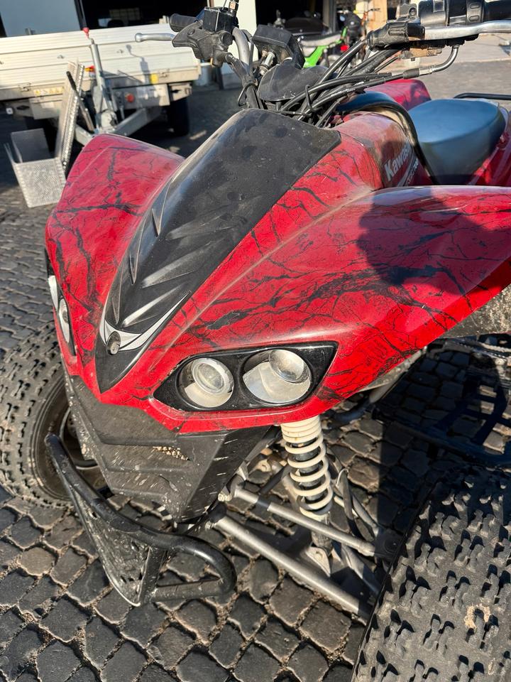 Kawasaki Gelöscht • Quad Kawasaki KFX 700 Letzter Preis‼️‼️ 2011 — rear view