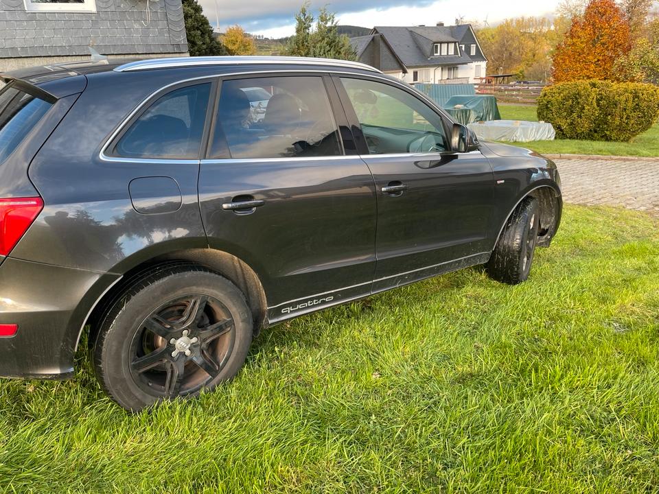 Audi Q5 2009 — вигляд ззаду