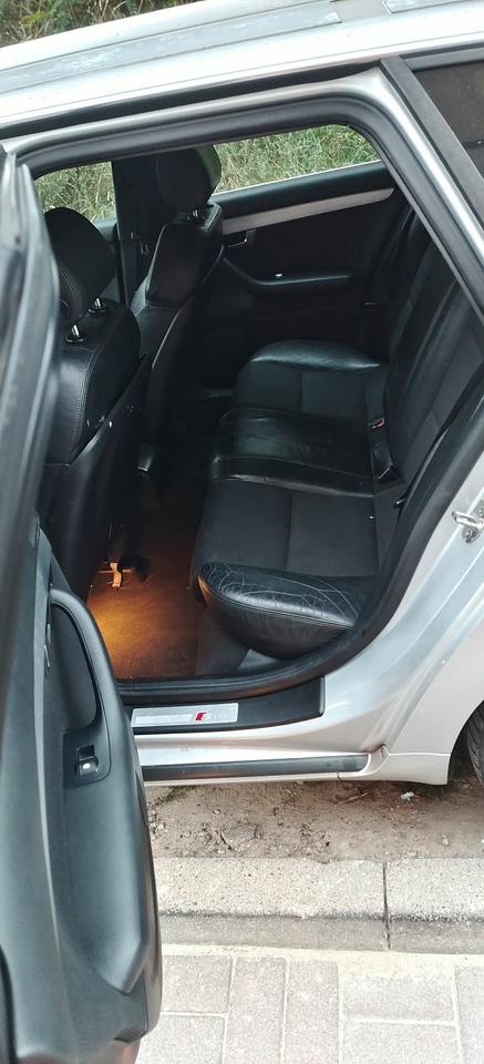 Audi A4 2008 — photo 6