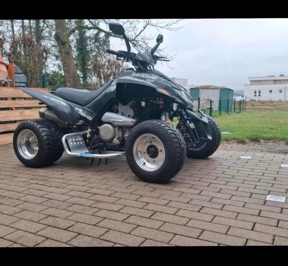 Weitere Motorräder Dinli 450 LOF Quad 2010 — vehicle for AFU Ukraine