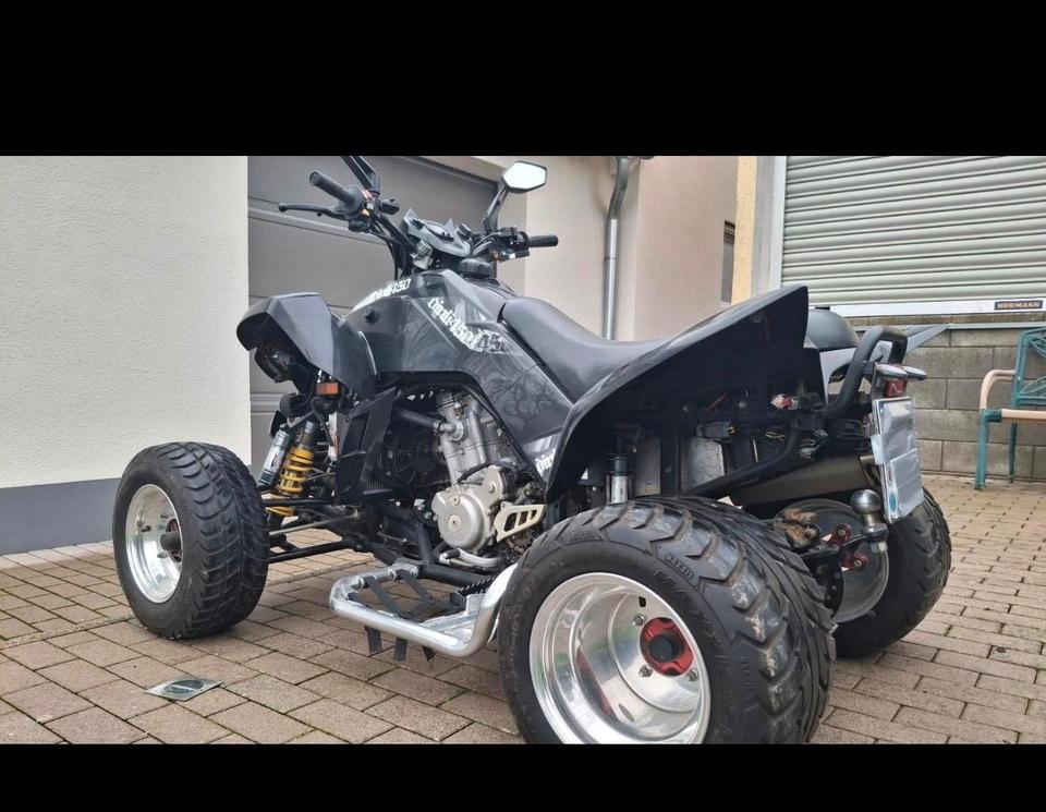 Weitere Motorräder Dinli 450 LOF Quad 2010 — rear view