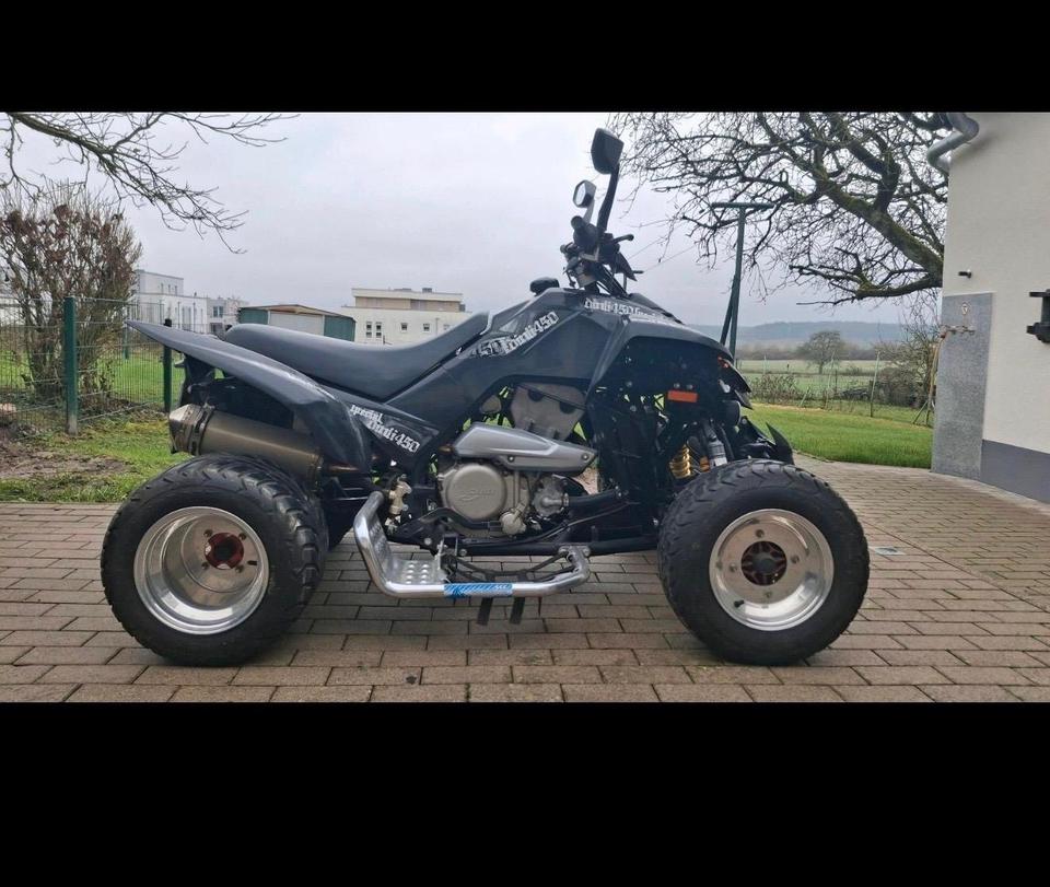 Weitere Motorräder Dinli 450 LOF Quad 2010 — interior