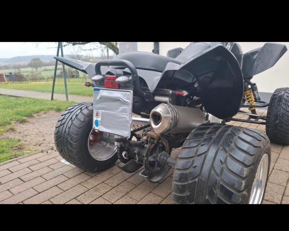 Weitere Motorräder Dinli 450 LOF Quad 2010 — engine 450 ccm