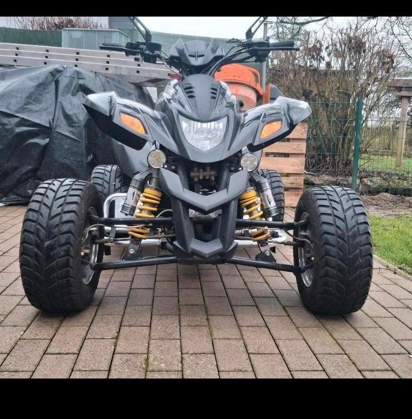 Weitere Motorräder Dinli 450 LOF Quad 2010 — photo 5