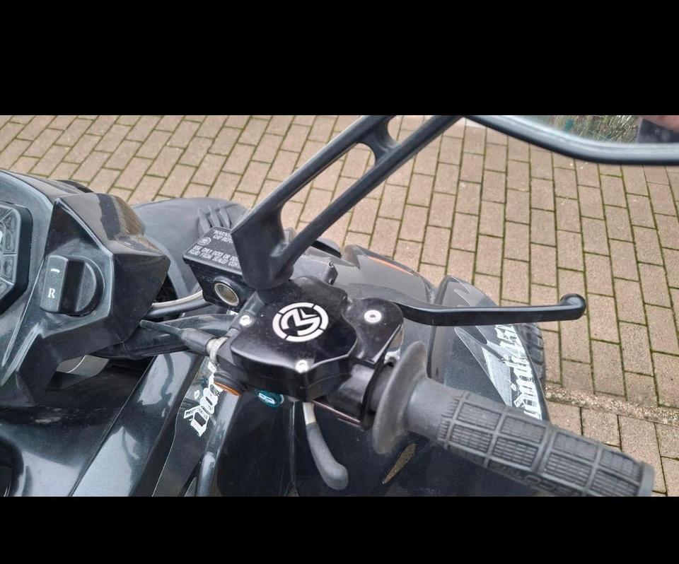 Weitere Motorräder Dinli 450 LOF Quad 2010 — photo 6
