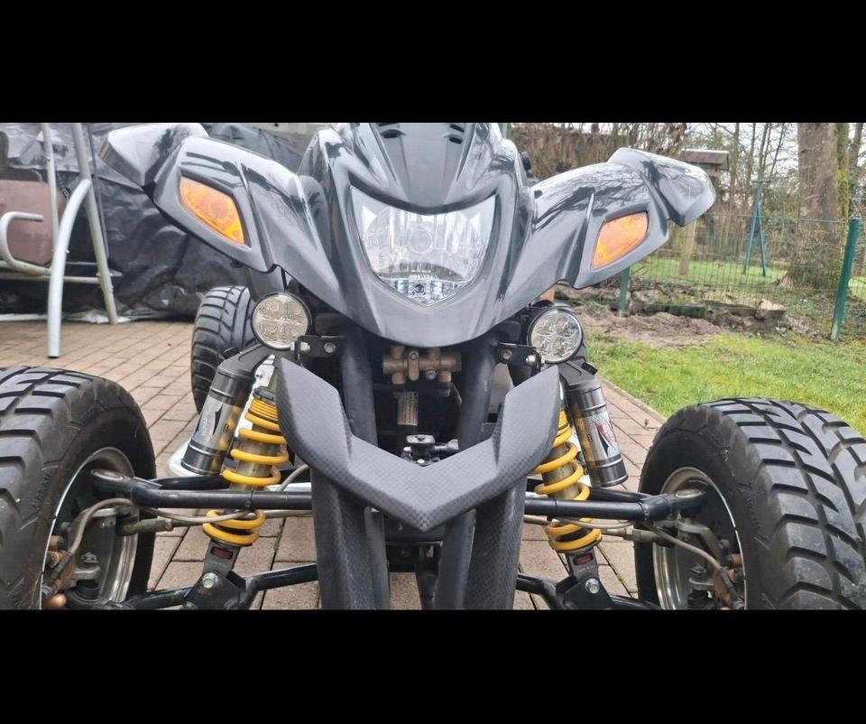 Weitere Motorräder Dinli 450 LOF Quad 2010 — photo 7