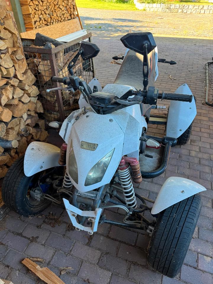 Weitere Motorräder Gelöscht • Quad , Bashan 300s-18 2010 — rear view