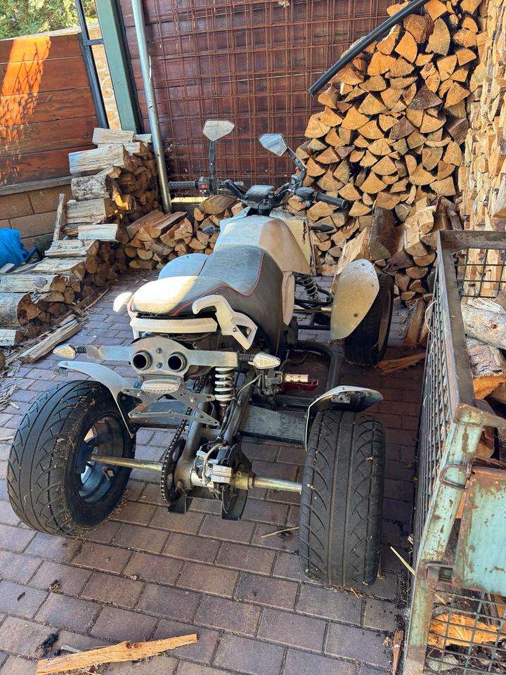 Weitere Motorräder Gelöscht • Quad , Bashan 300s-18 2010 — interior