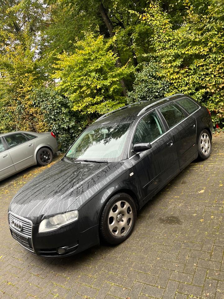 Audi A4 2007 — вигляд ззаду